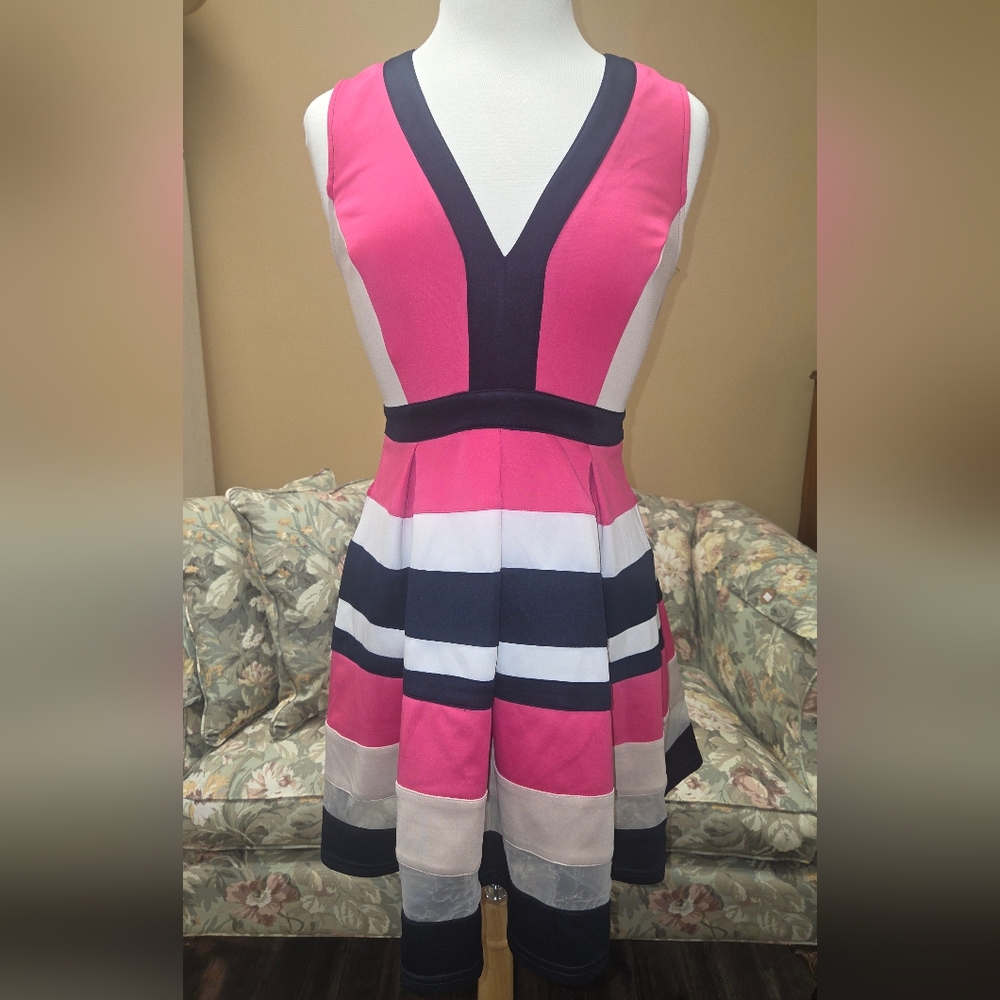 Vibrant Pink and Navy Striped Mini Dress
